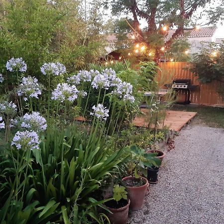 Villa " Les Bambous " , Jardin , Terrasse , Climatisation , Wifi , Parking Avignon Luaran gambar